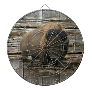 Buffalo Dartbord