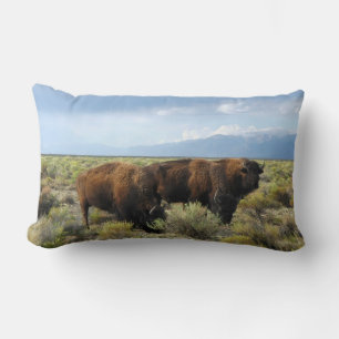 Buffalo Dier Natuur Land Vrede Lotsbestemming Kussen