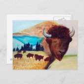 Buffalo Dream Briefkaart (Voorkant / Achterkant)