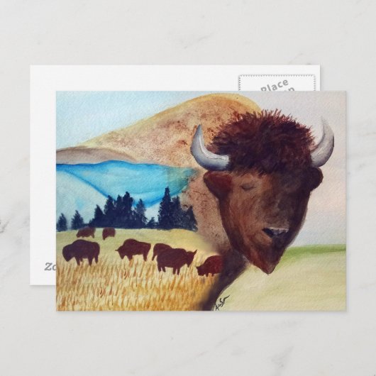 Buffalo Dream Briefkaart (Voorkant / Achterkant)