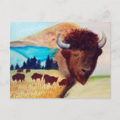 Buffalo Dream Briefkaart (Voorkant)