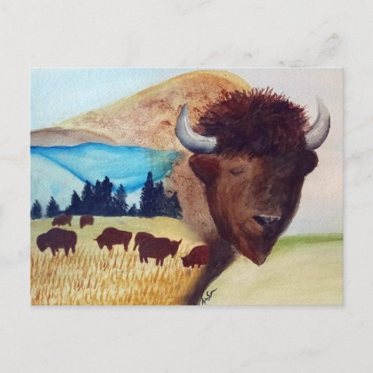 Buffalo Dream Briefkaart (Voorkant)
