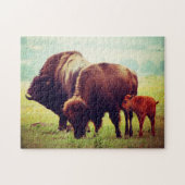 Buffalo en Calf Oklahoma. Legpuzzel (Horizontaal)