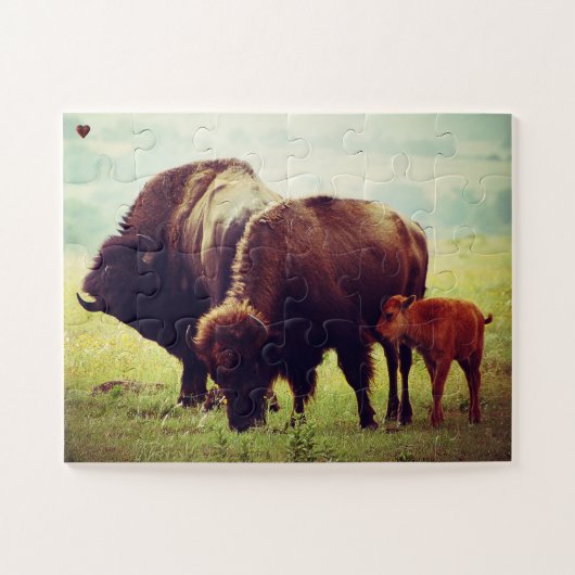Buffalo en Kalf Oklahoma Legpuzzel (Horizontaal)