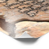 Buffalo Foto Afdruk (Hoek)