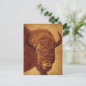 Buffalo/gif Briefkaart (Staand voorkant)