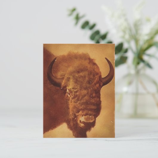 Buffalo/gif Briefkaart (Staand voorkant)