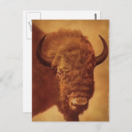 Buffalo/gif Briefkaart (Voorkant / Achterkant)