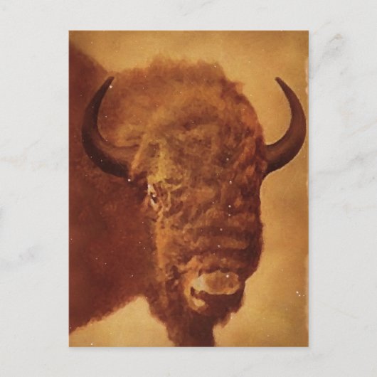 Buffalo/gif Briefkaart (Voorkant)