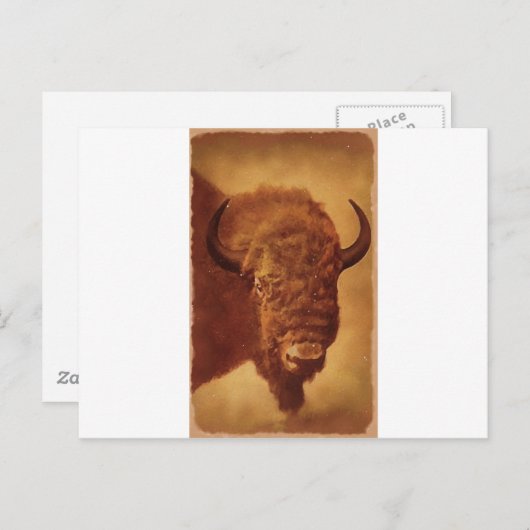 Buffalo/gif Briefkaart (Voorkant / Achterkant)