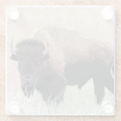 Buffalo/gif Glazen Onderzetter (Achterkant)