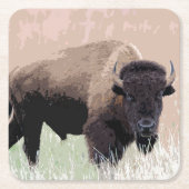 Buffalo/gif Kartonnen Onderzetters (Voorkant)