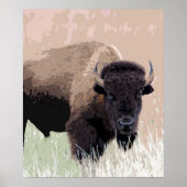 Buffalo/gif Poster (Voorkant)