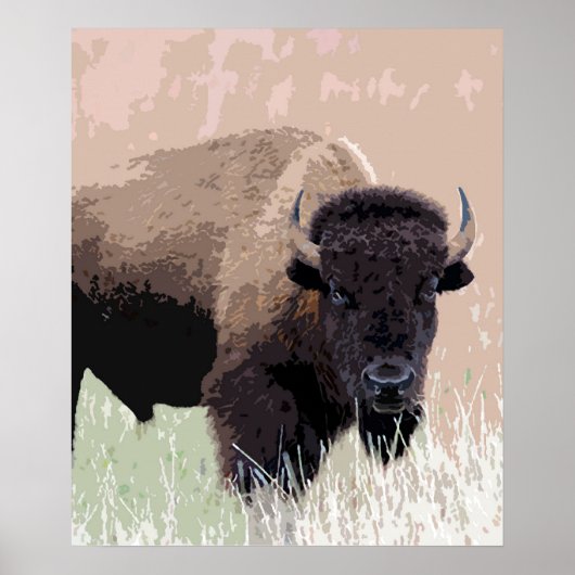 Buffalo/gif Poster (Voorkant)