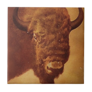 Buffalo/gif Tegeltje