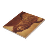 Buffalo/gif Tegeltje (Zijkant)