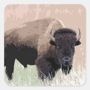 Buffalo/gif Vierkante Sticker