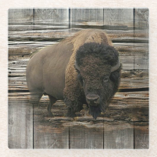 Buffalo Glazen Onderzetter (Voorkant)
