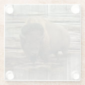Buffalo Glazen Onderzetter (Achterkant)