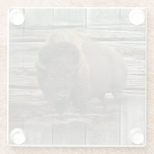 Buffalo Glazen Onderzetter (Achterkant)