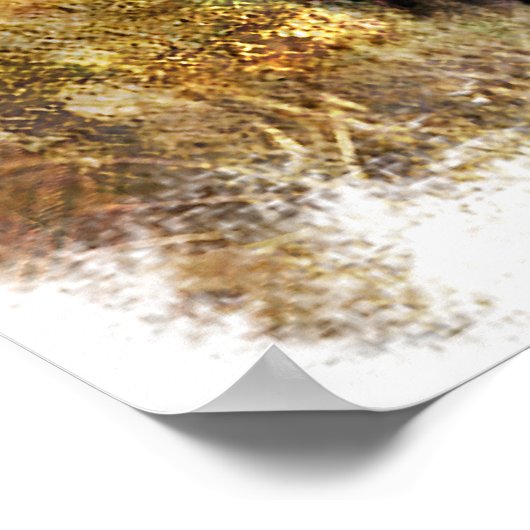 Buffalo Grunge Poster (Hoek)