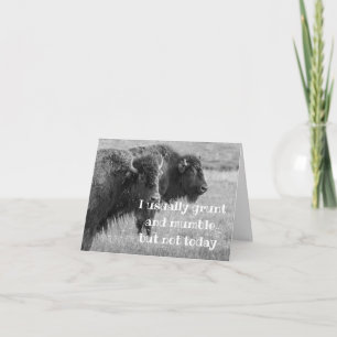 BUFFALO ***HAPPY BIRTHDAY *** KAART