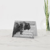 BUFFALO ***HAPPY BIRTHDAY *** KAART (Voorkant)