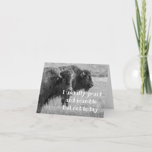 BUFFALO ***HAPPY BIRTHDAY *** KAART (Voorkant)