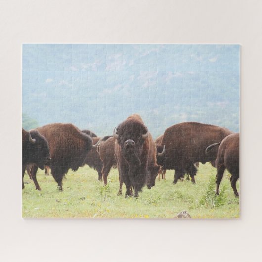 Buffalo Herd Foto Puzzle Legpuzzel (Horizontaal)