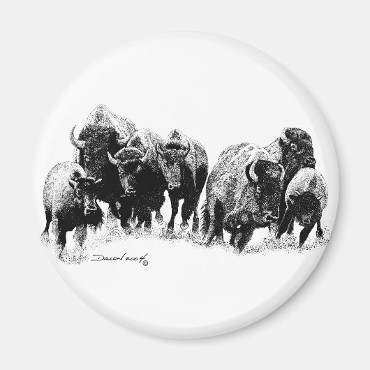 Buffalo Herd Magneet (Voorkant)