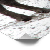 Buffalo Herd Natuur Wall Poster (Hoek)