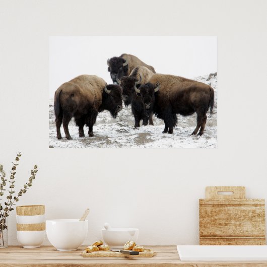 Buffalo Herd Natuur Wall Poster (Keuken)