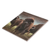 Buffalo Herd Tegeltje (Zijkant)