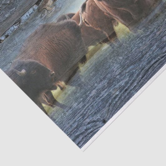 Buffalo Herd Tissuepapier (Detail)