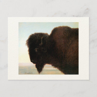 Buffalo Hoofd van Albert Bierstadt verven Aankondiging