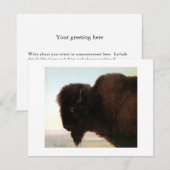 Buffalo Hoofd van Albert Bierstadt verven Aankondiging (Voorkant / Achterkant)