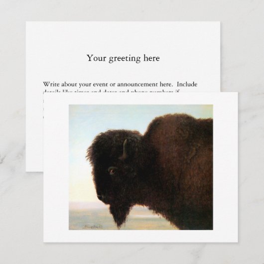 Buffalo Hoofd van Albert Bierstadt verven Aankondiging (Voorkant / Achterkant)