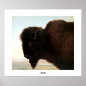 Buffalo Hoofd van Albert Bierstadt verven Poster (Voorkant)
