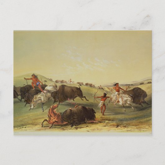 Buffalo Hunt Briefkaart (Voorkant)