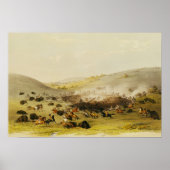 Buffalo Hunt, Surround, c.1832 Poster (Voorkant)