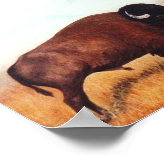 Buffalo III Poster (Hoek)