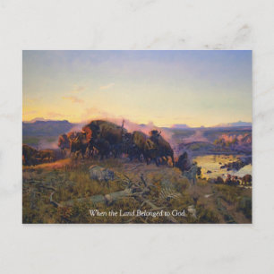 Buffalo in bergen Briefkaart