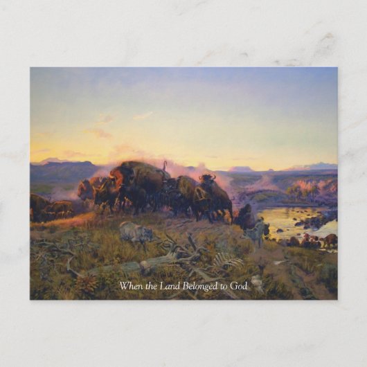  Buffalo in bergen Briefkaart (Voorkant)