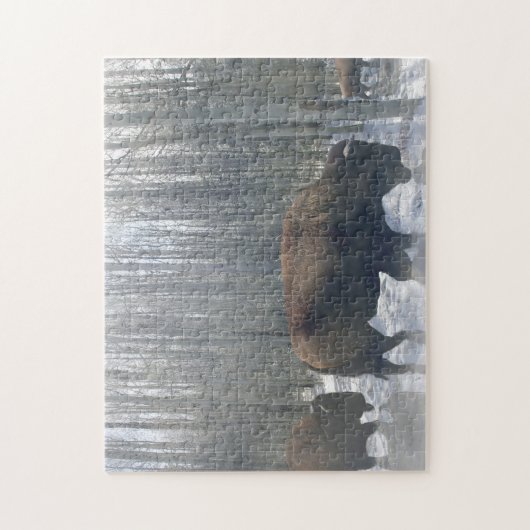 Buffalo in de sneeuw legpuzzel (Verticaal)