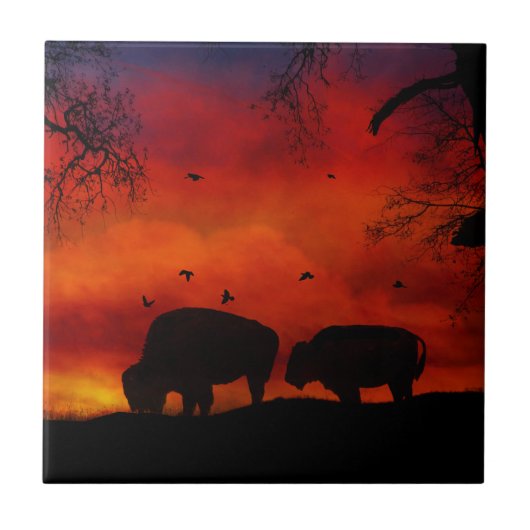 Buffalo in de Sunset Art Tegel Tegeltje (Voorkant)