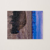 Buffalo in Denver, Colorado Legpuzzel (Horizontaal)