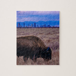 Buffalo in Denver, Colorado Legpuzzel