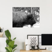 Buffalo in het Nationaal Park Yellowstone Poster (Thuiskantoor)