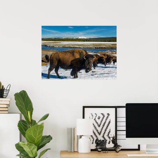 Buffalo in the Snow Poster (Thuiskantoor)