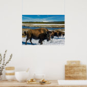 Buffalo in the Snow Poster (Keuken)